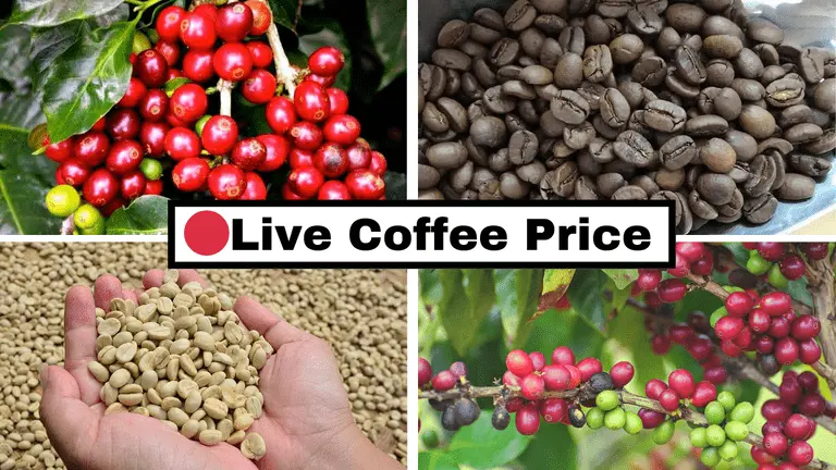 Live-Coffee-Price-Live-Market-Rates