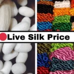 Silk-Price-Live-Market-Rates